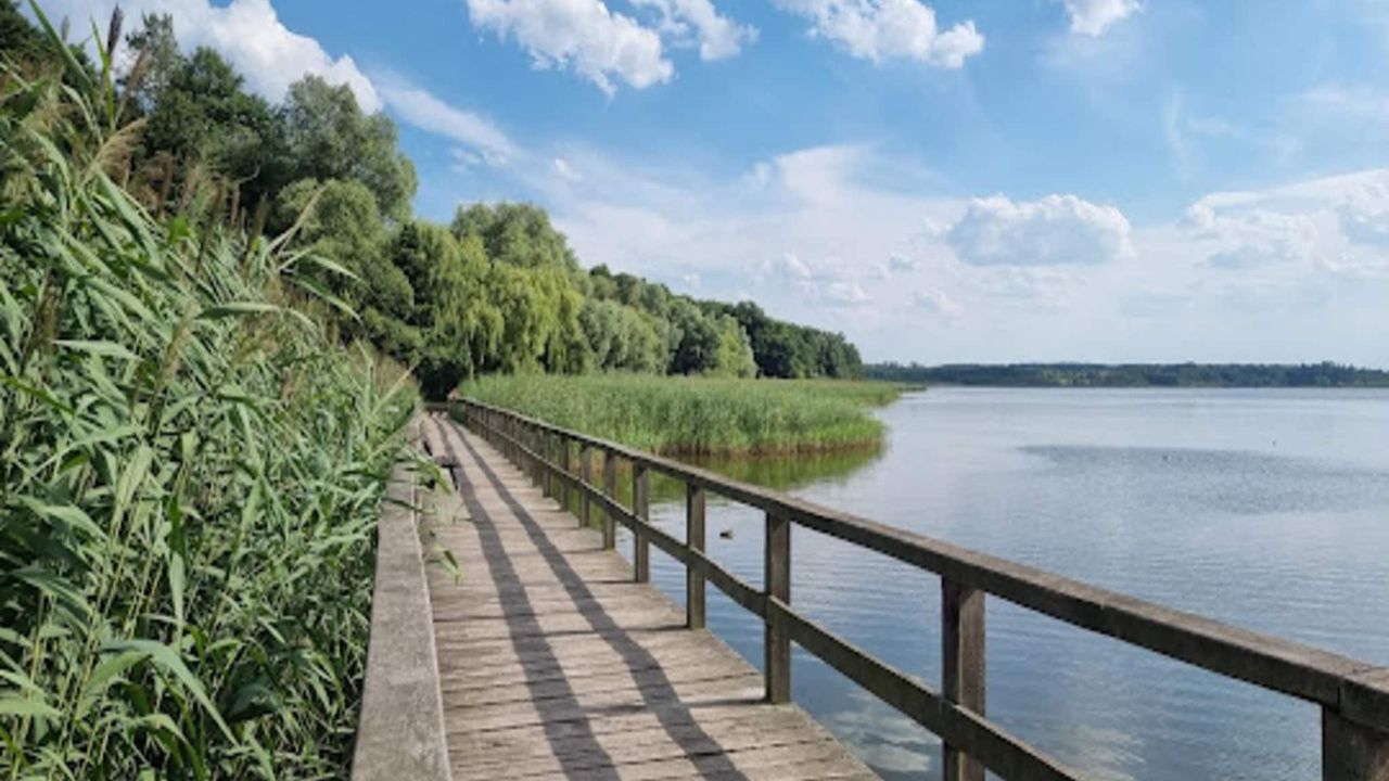 AreaSummer20KM AreaSummer20KM